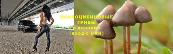прущая мука Пестово