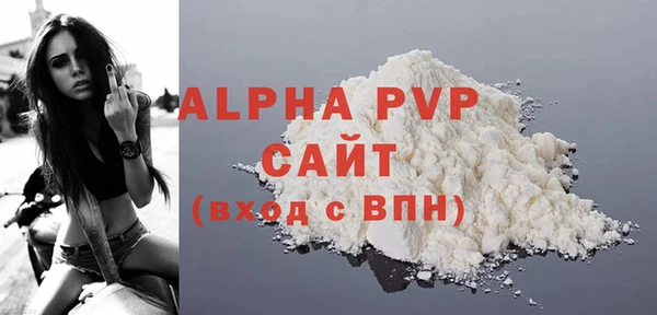 СК Пересвет