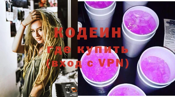 СК Пересвет