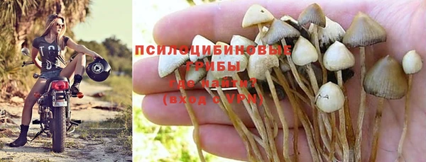 прущая мука Пестово