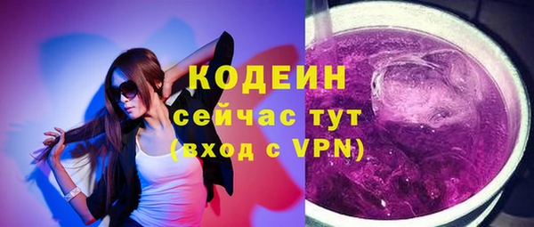 СК Пересвет