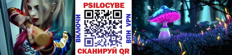 Купить закладки  Тихорецк  Псилоцибиновые грибы ЛСД 